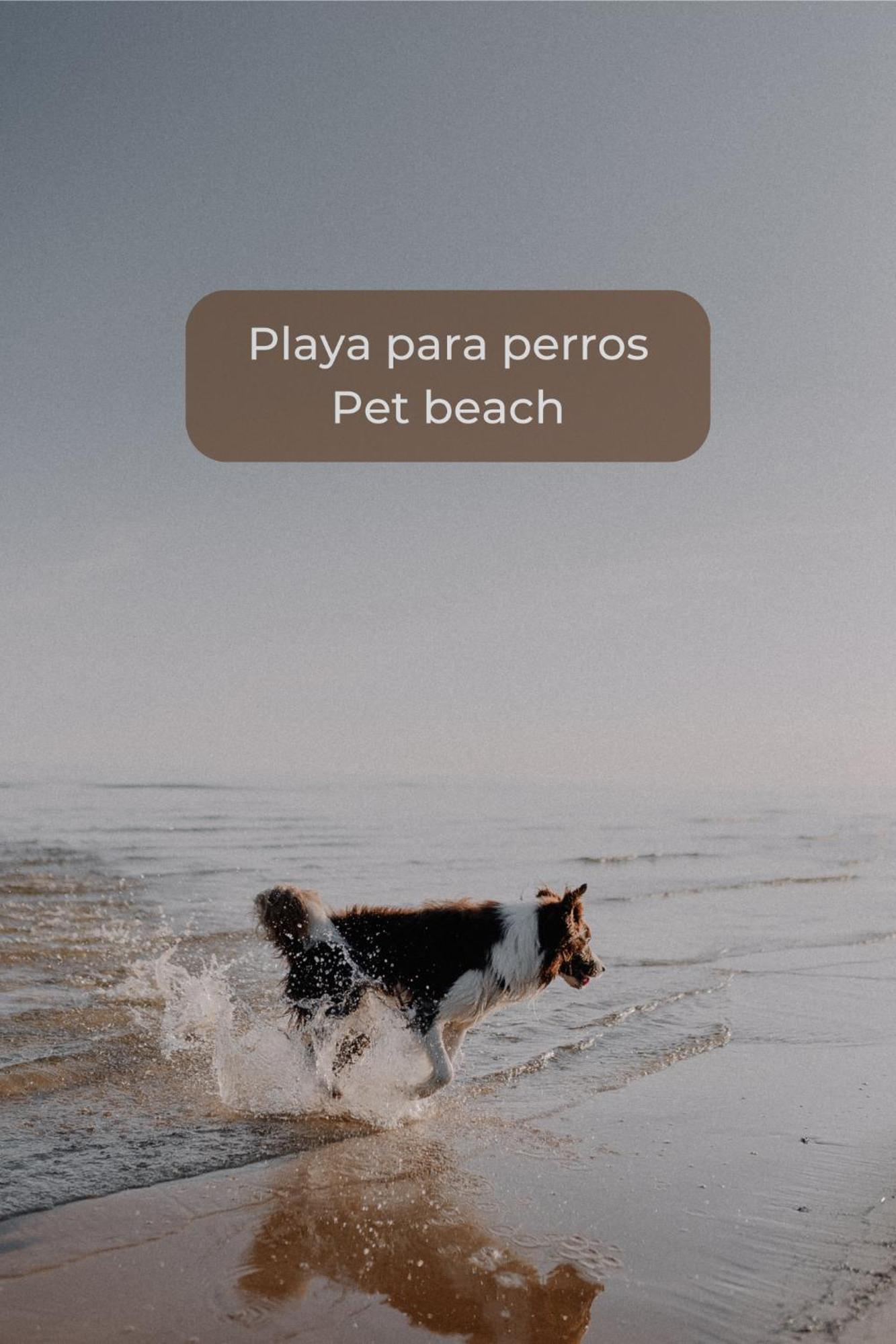 CotilloKiwi Smoothie - En La Playa, Doble Terraza, Cocina Completa, Dos Camas Y Wifiアパートメント エクステリア 写真